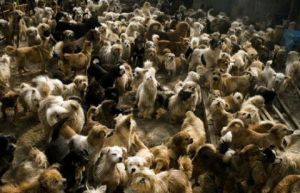 ����� ������� ������������ ����� � �����